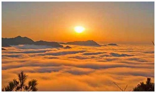 怪兽巢穴深渊触手拦腰撕碎：黑暗中猛地缠住，瞬间扯成两段血溅当场